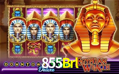 Security Systems 855Brl