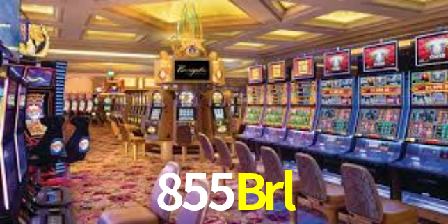 855Brl App Interface