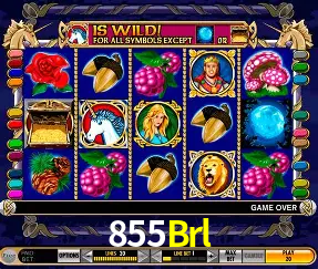 Flash Promotion 855Brl